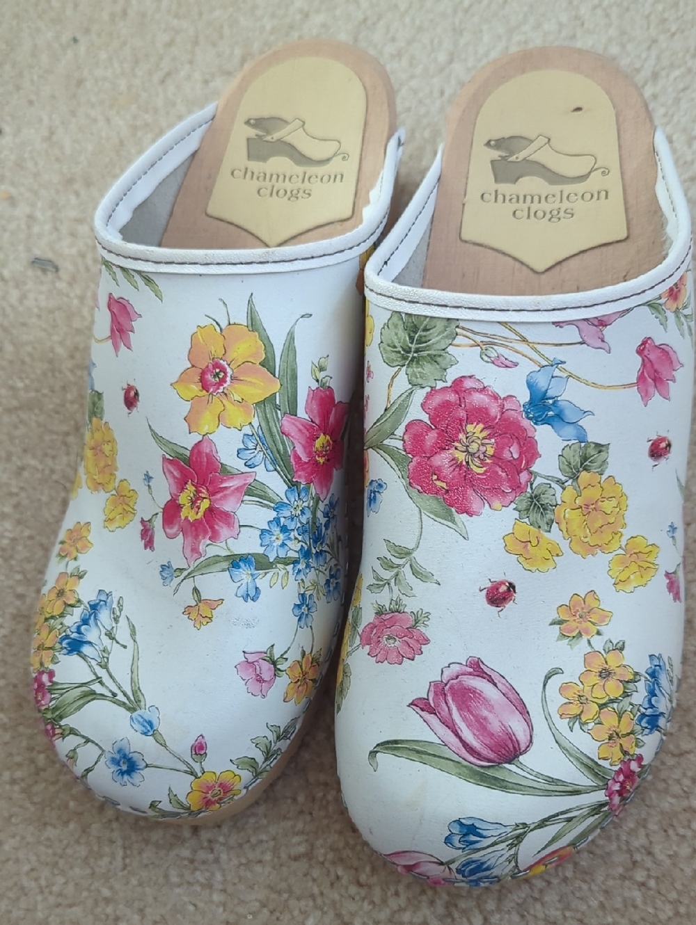 Vollajo Clogs